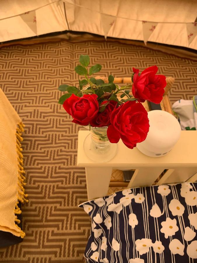 Campsite Ashcroft Glamping Dereham