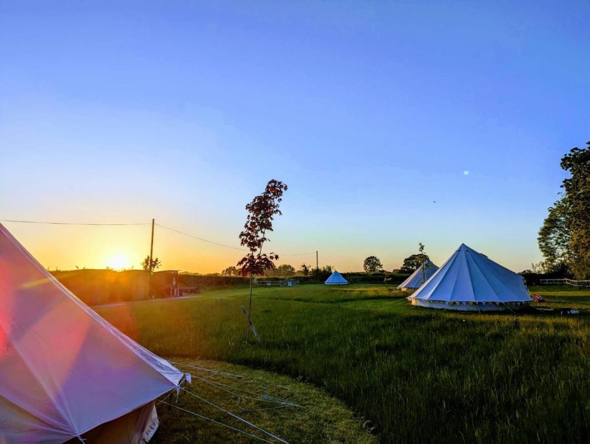 Campsite Ashcroft Glamping *