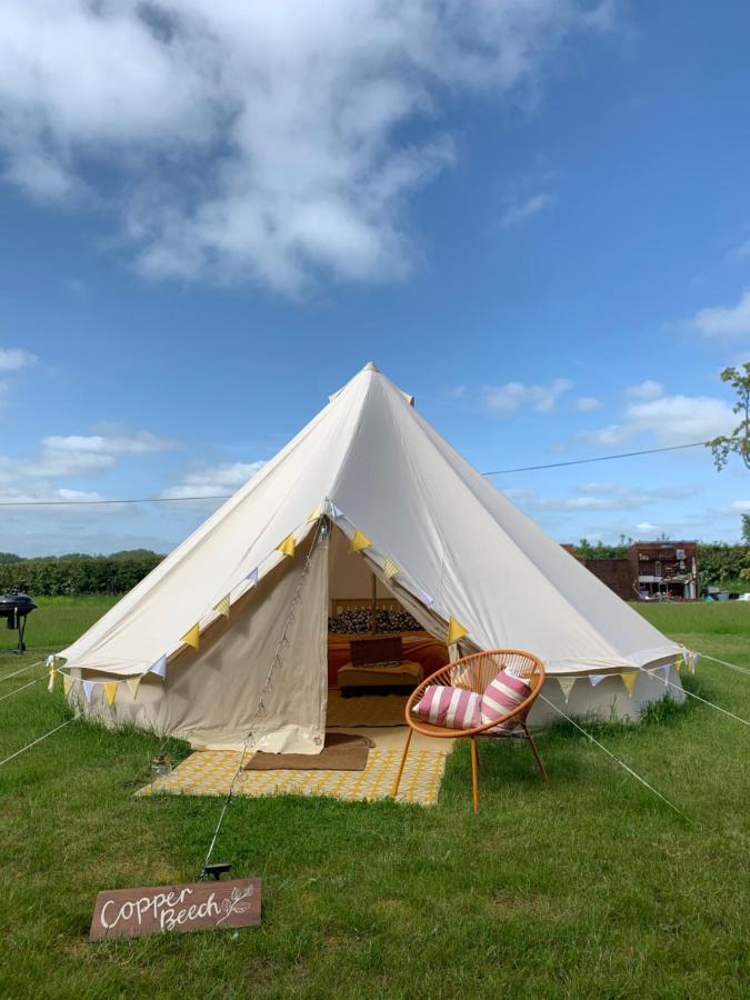 Campsite Ashcroft Glamping